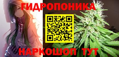 крисы Краснокаменск