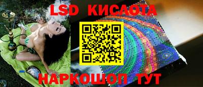 шишки Краснодар