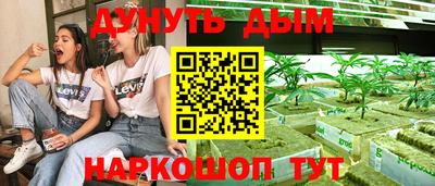 шишки Краснодар