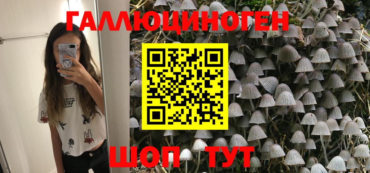 Скопин  Псилоцибиновые грибы MAGIC MUSHROOMS  Вход с VPN 